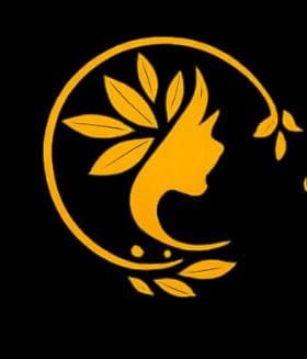 noidabodyspa.com noidabodyspa.com